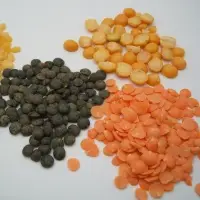 Lentils Seeds