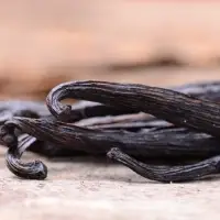 Vanilla Seed