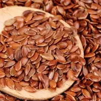 Flax Seeds
