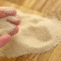 Dry Yeast