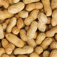 Peanuts