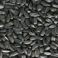 Sunflower Seeds
