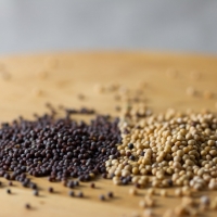 Mustard Seeds