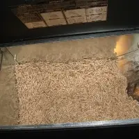 Wood Pellet