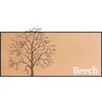 Beech