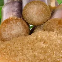 Sugar