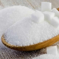 White Refined Brazilian Sugar
