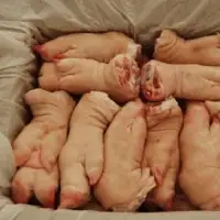 Frozen Pork Front Feet