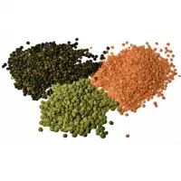 Lentils (Red, Green & Brown)
