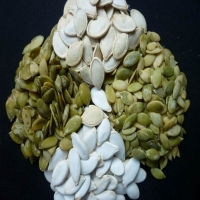 Pumpkin Seeds
