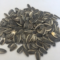 Sunflower Seeds