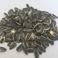 Sunflower Seeds