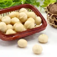 Macadamia Nuts