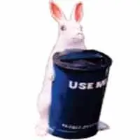 Rabbit Dustbin