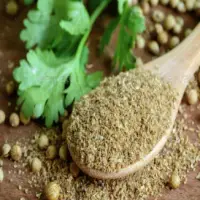 Coriander