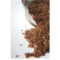 Flax Seeds