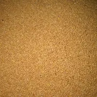 Yellow Millet