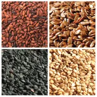 Sesame Seeds