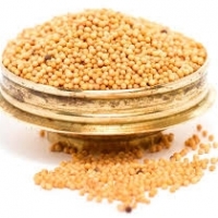 Mustard Seeds