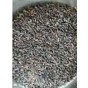 Black Rice