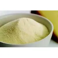 Tempera Mix Cns - Vegan Cheese Premix