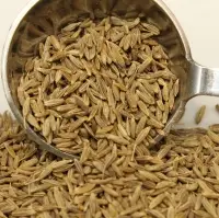 Cumin Seeds (Jeera)