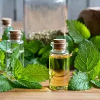 Essential Oil