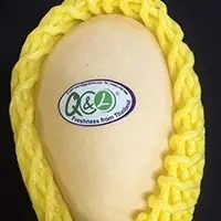 "Q&L" Fresh Gold Mango (Nam-Dok-Mai)