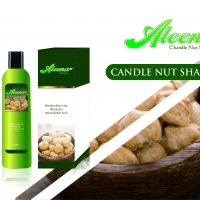 Candle Nut Shampoo