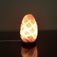 Egg Salt Lamp