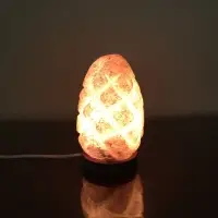 Egg Salt Lamp