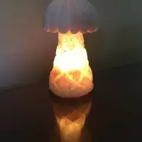 Palm Tree Salt Lamp