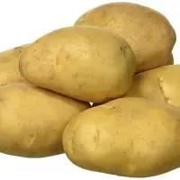 Potato