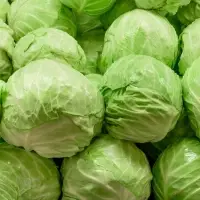 Cabbage