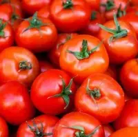 Tomato