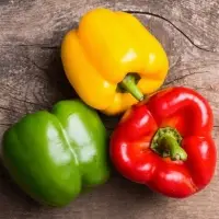 Capsicum