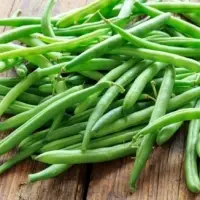 Fresh Green Beans