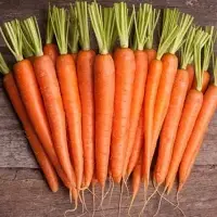 Fresh Carrot
