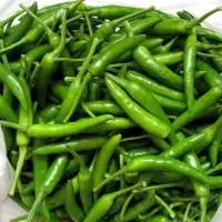 Fresh Green Chilli