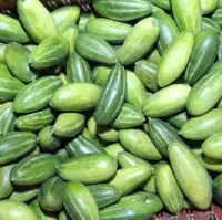 Fresh Pointed Gourd