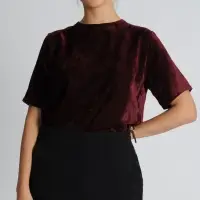 Velvet Short Sleeve Top