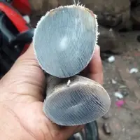 Buffalo Horn Tips