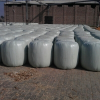 Silage