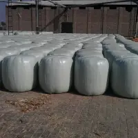 Silage
