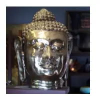 Buddha Head