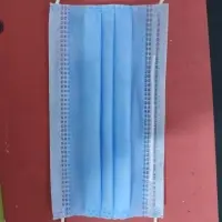 Face Mask