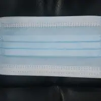 Face Mask