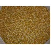 Maize