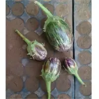 Brinjals