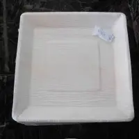 Areca Leaf Plates